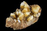 Sunshine Cactus Quartz Crystal Cluster - South Africa #122367-1